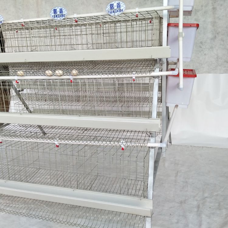 Cheap price cold galvanizing poultry chicken egg laying hens cage