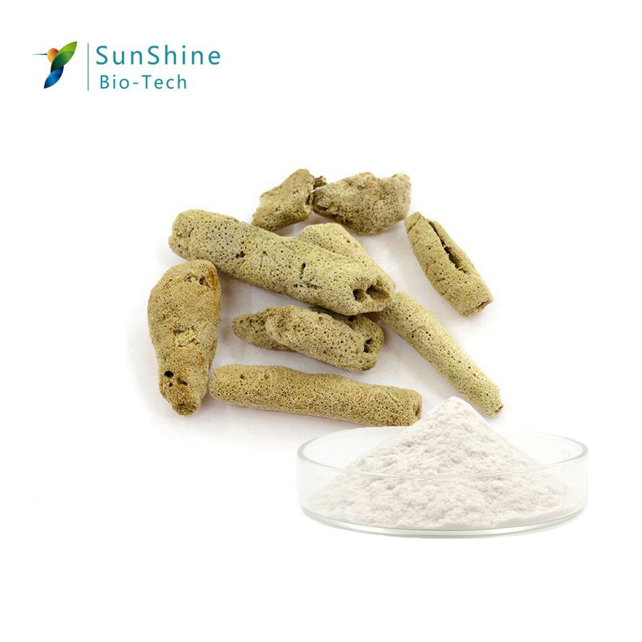 SQT Cosmetic spongilla powder of Freshwater Sponge Extract