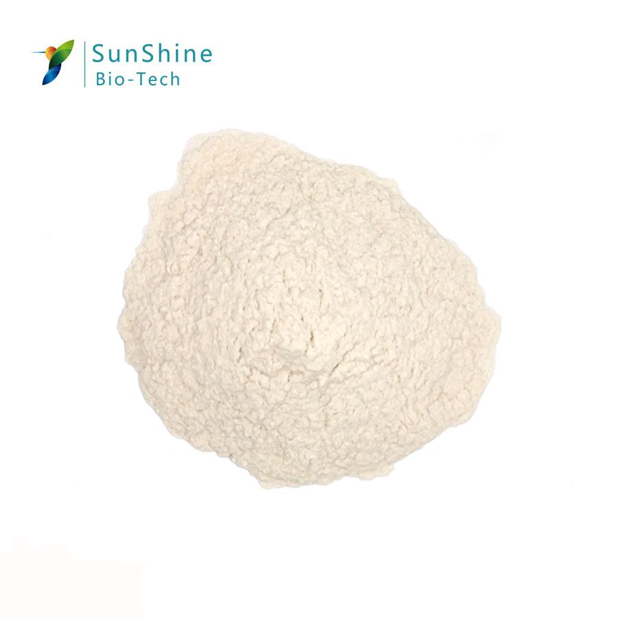 cosmetic ingredient sponge spicule powder poudre peau 98% spongilla spicules