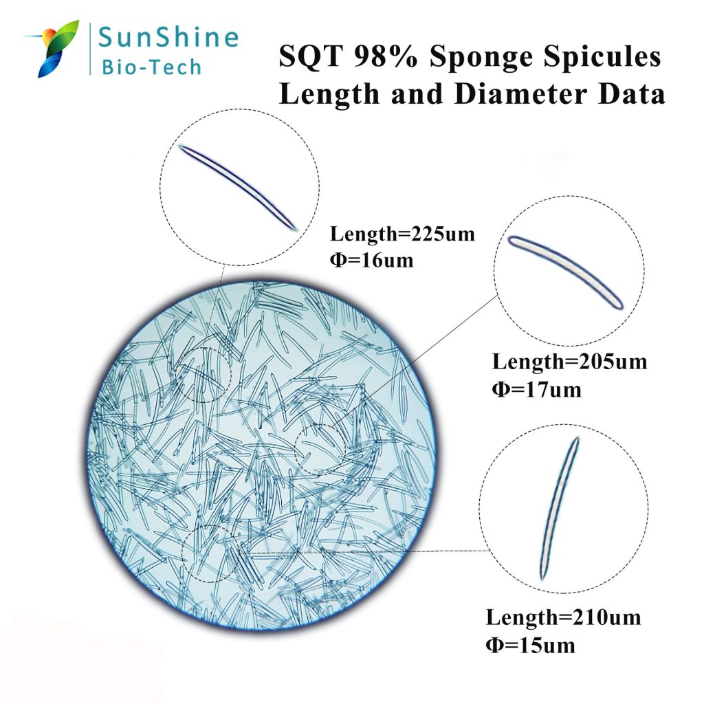 SQT Cosmetic Ingredient 99% Spicule Exfoliant Hydrolyzed Sponge Powder