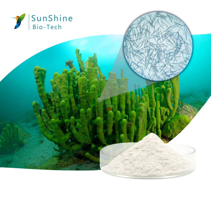 Natural Ingredient Cosmetics Sponge Spicule Powder of  Hydrolyzed Sponge 