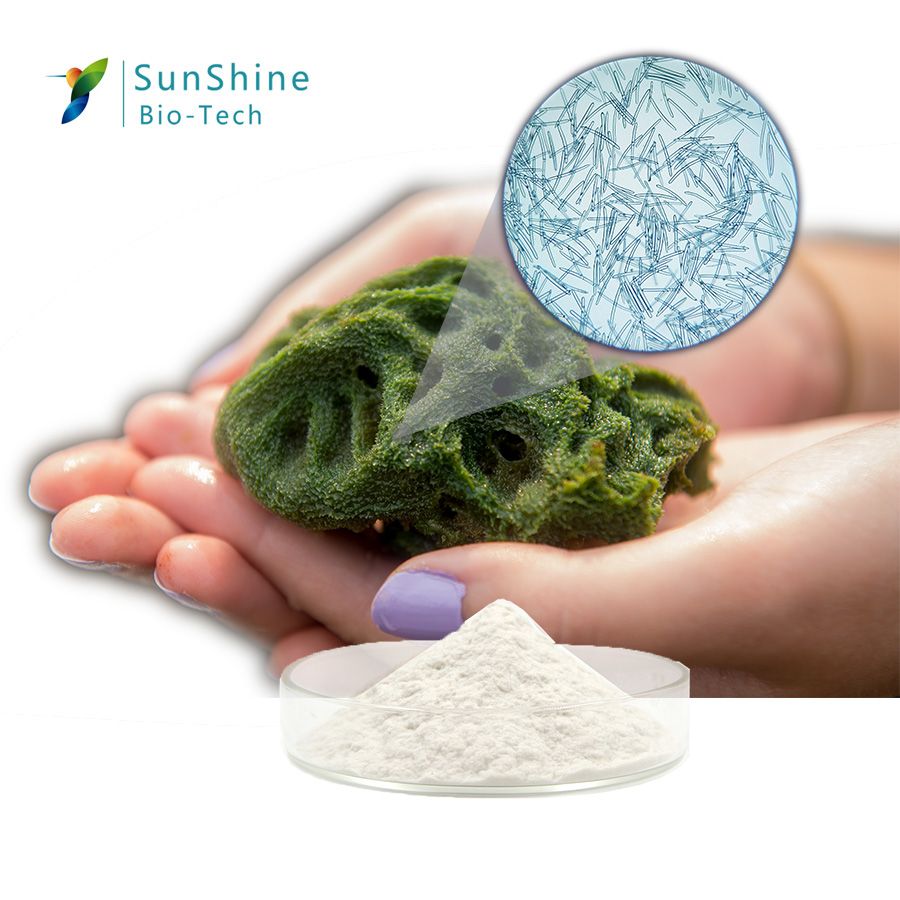 SQT Cosmetic Ingredient Spongilla Spicule powder of  Water Sponge