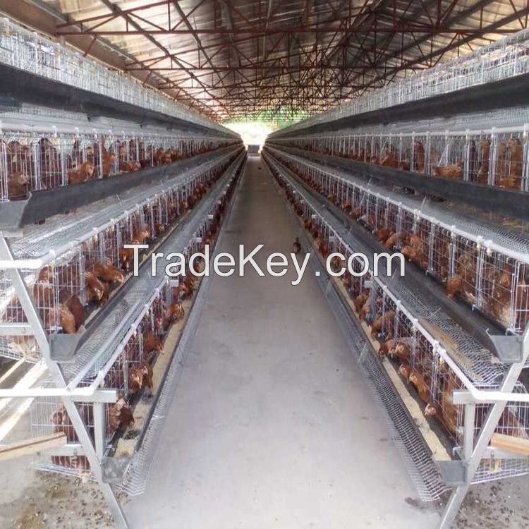 Automatic Poultry  Farming Equipment Hen Chicken Cage