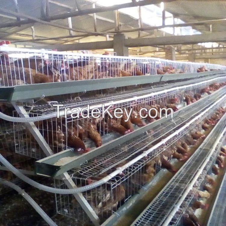 Cheap Galvanized Poultry Hen Chicken Cages For Sale