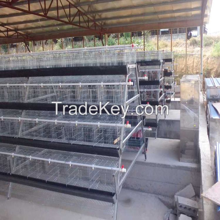 Animal battery poultry chicken layers cages for sale