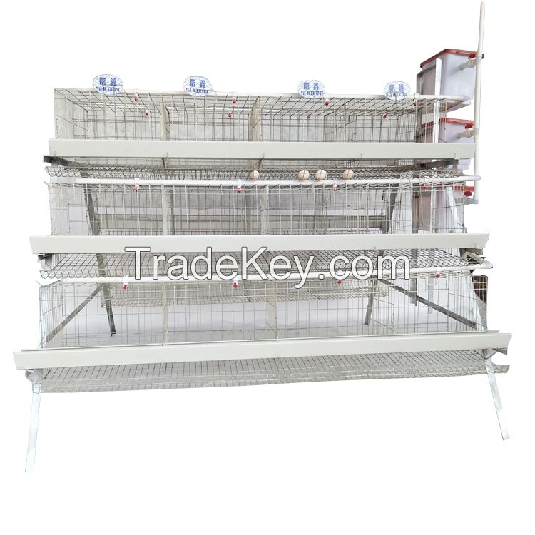 Animal battery poultry chicken layers cages for sale