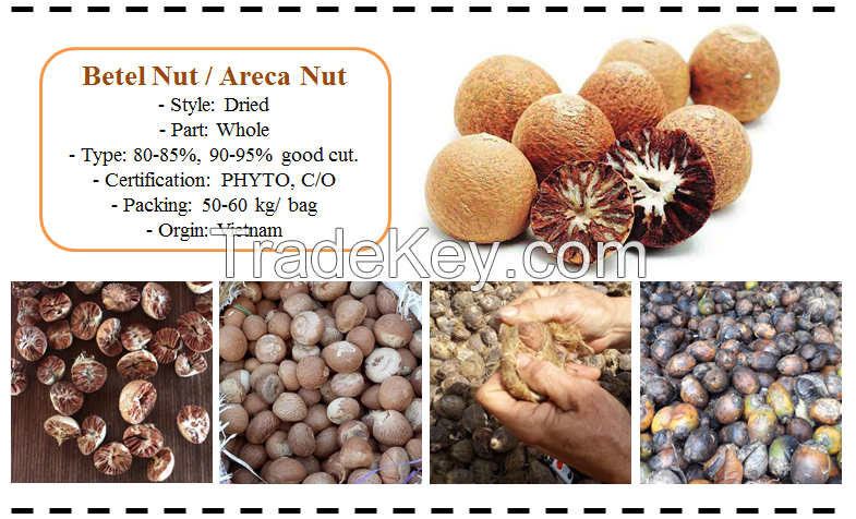 Betel Nut - Arecanut - Supari