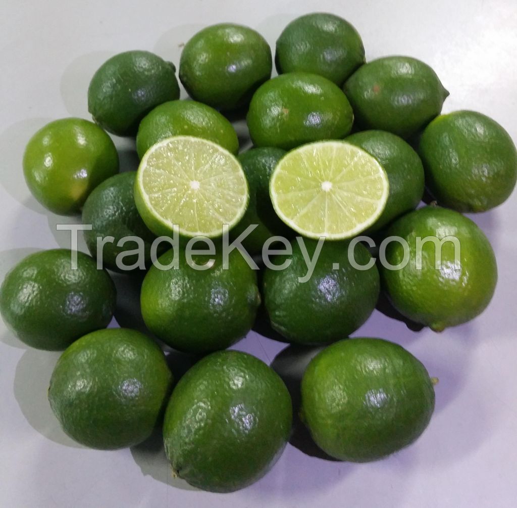Seedless Lemons - Lime in Bulk