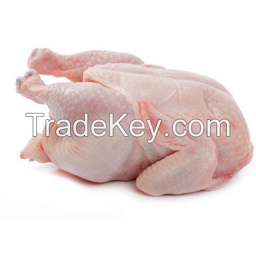 Halal Frozen Chicken, Frozen Whole Chicken