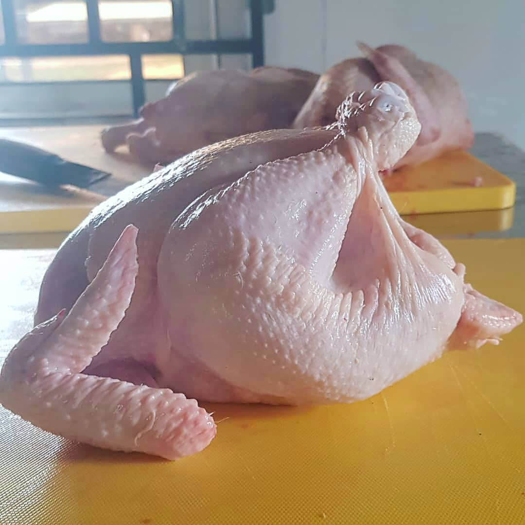 Brazilian Quality Halal Frozen Whole Chicken And Parts / Thighs / Feet / Paws / Drumsticks 