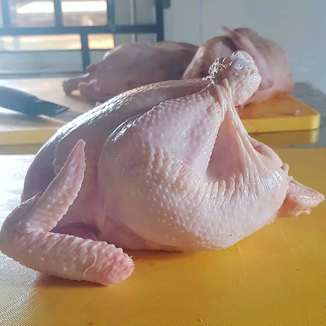 HALAL FROZEN WHOLE CHICKEN FOR SALE