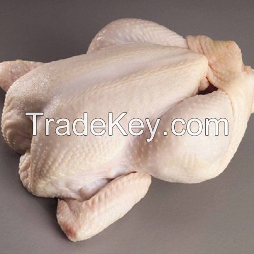 Export Halal Frozen Whole Chicken Brazil