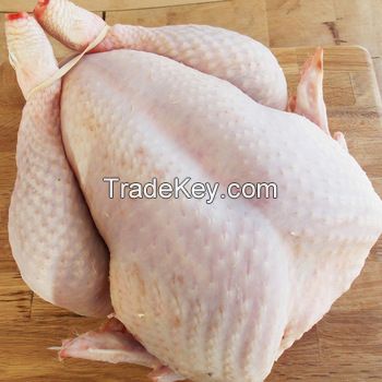 BRAZILIAN QUALITY HALAL FROZEN WHOLE CHICKEN AND PARTS / GIZZARDS / THIGHS / FEET / PAWS / DRUMSTICKS