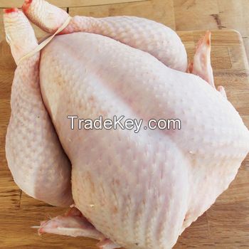 Frozen Chicken Cuts Skinless Boneless Half Breast Fillet Brazil