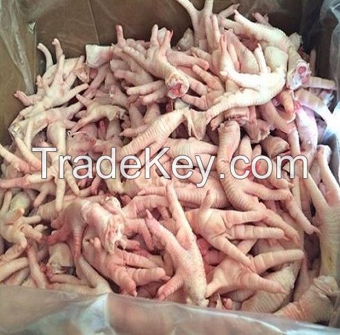 chicken,Halal Chicken Feet / Frozen Chicken Paws Brazil / Fresh chicken feet for export 