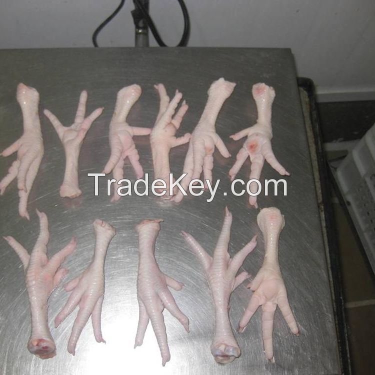 Frozen Chicken Cuts Skinless Boneless Half Breast Fillet Brazil