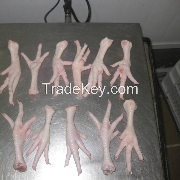 Halal Chicken Feet / Frozen Chicken Paws Brazil / Fresh chicken wings and foot