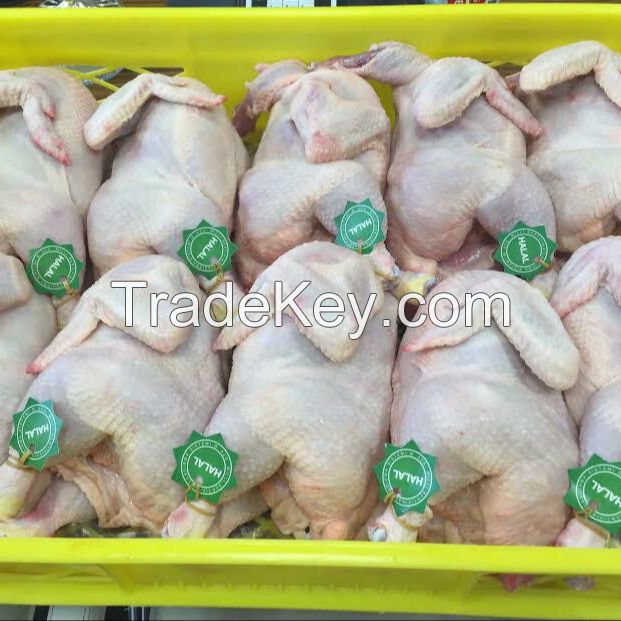 Halal Frozen Whole Chicken 'A' grade. Organic, broiler and Griller. Chicken parts
