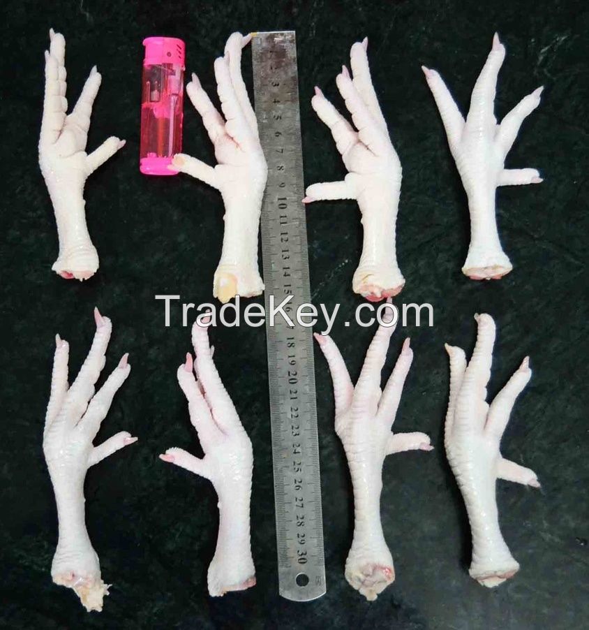 Halal Whole Frozen Chicken, Chicken Feet, Paws, Drumsticks Grade "A"