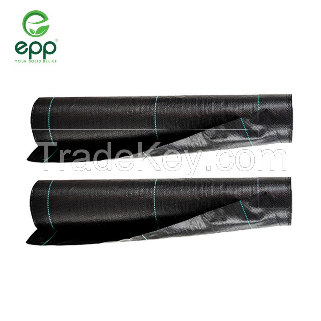 Vietnam Supplier For Plastic Weed Mat Garden Weed Barrier Durable Heavy Duty Weed Barrier Landscape Fabric Pp Landscape Fabric