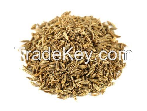 cumin seed