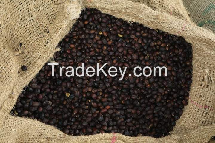 High Quality Arabica Coffee Beans