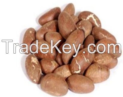 Bittercola, cashew nuts, dates, palm kernel, soya beans etc