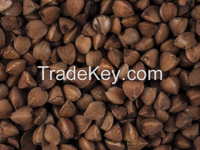 Roasted buckwheat for sale,unhulled buckwheat kernel,hulled buckweat kernel for sale