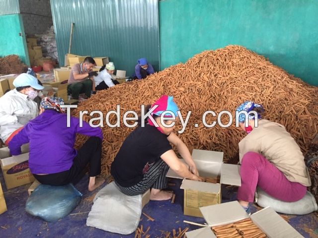 WHOLE CASSIA HIGH QUALITY from Vietnam