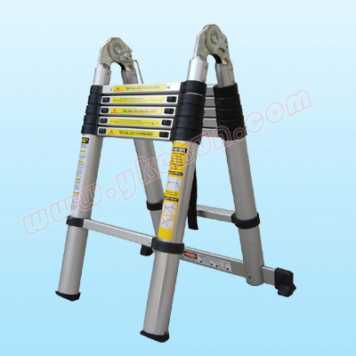 telescopic ladder 2761