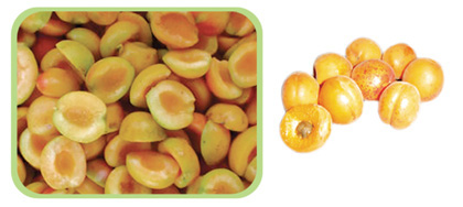 IQF apricot