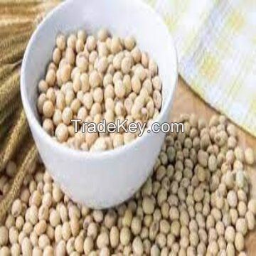 Sprouting and Food Grade Yellow Soybeans Top Quality Dry Soya Beans Non-gmo Soybean