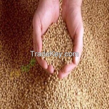 Sprouting and Food Grade Yellow Soybeans Top Quality Dry Soya Beans Non-gmo Soybean