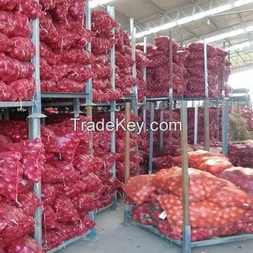 Premium Quality Onion At Wholesale Prices
