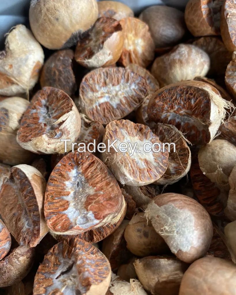 Betel Nut / Whole And Split Betel Nuts In Bulk Best Grade Wholesale