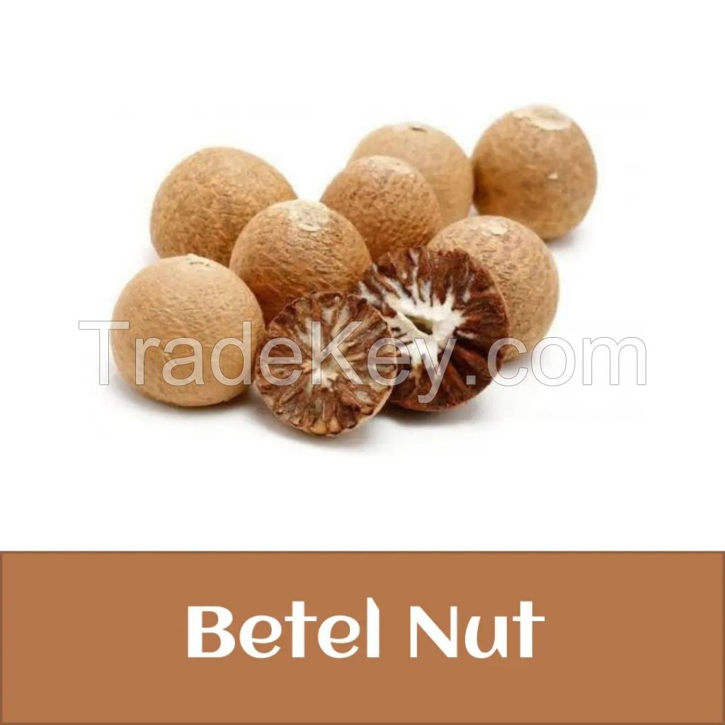 Betel Nut / Whole And Split Betel Nuts In Bulk Best Grade Wholesale