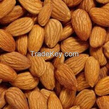 High grade Wholesale Natural Bulk Fresh Almond  Non-GMO almonds kernels for food