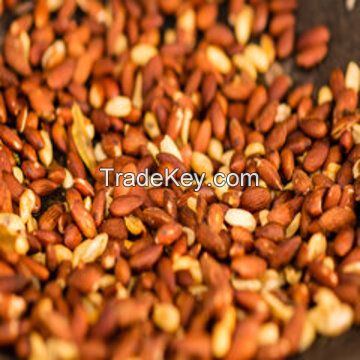 High grade Wholesale Natural Bulk Fresh Almond  Non-GMO almonds kernels for food