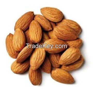 High grade Wholesale Natural Bulk Fresh Almond  Non-GMO almonds kernels for food