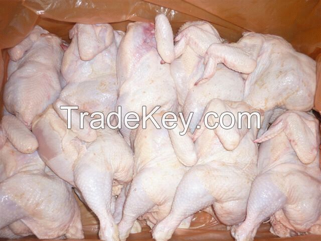 EXPORT GRADE HALAL FROZEN WHOLE CHICKEN, CHICKEN FEET, CHICKEN PAW AND ALL OTHER PARTS