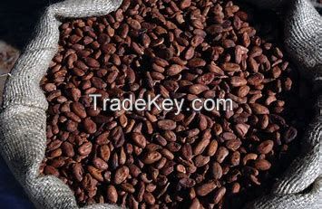 trinitario cocoa beans