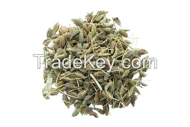 Anise