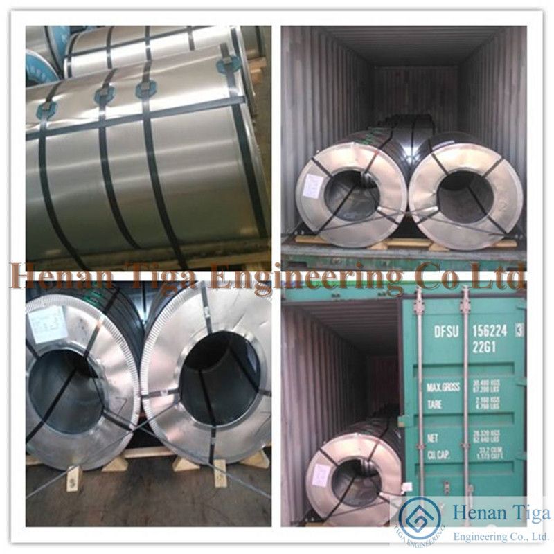 Tiga Factory Supply PPGI / Prepainted Galvanized Steel Coils