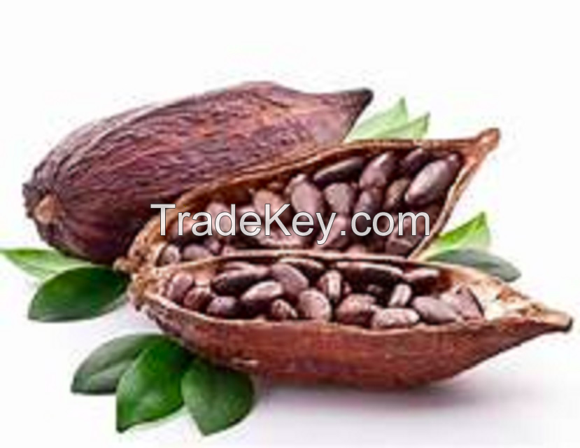 Cocoa Beans wholesale 