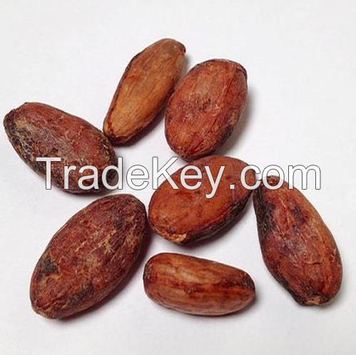 Cocoa Beans wholesale