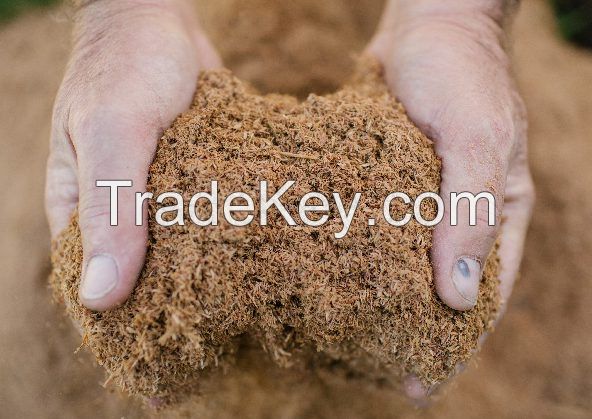 Wood powder, Sawdust