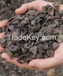 Palm Kernel Shell (PKS)