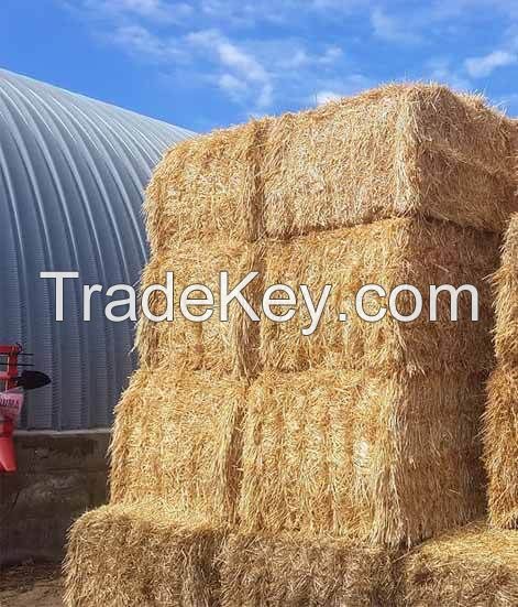 Wheat straw Bales