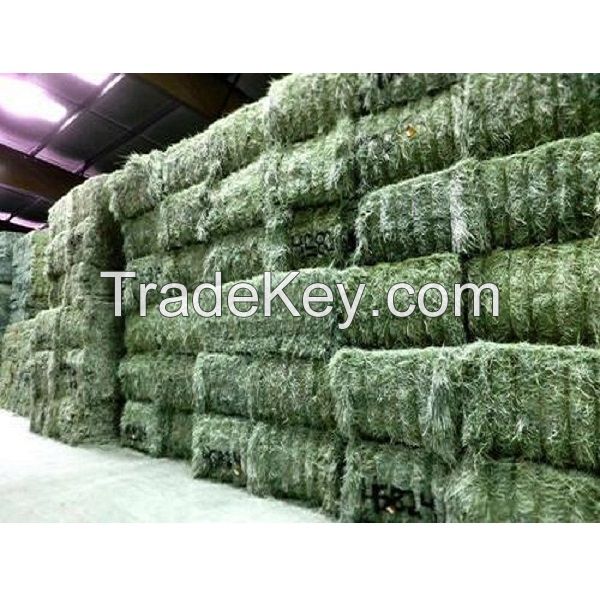 Premium Quality Best Selling Alfalfa Hay/Alfalfa Hay For Animal feeding