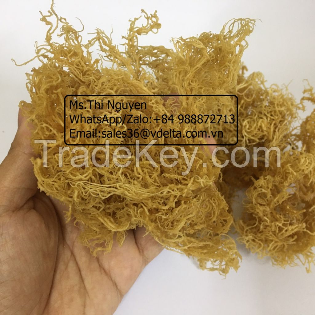 Dried Sea Moss No Salt from Vietnam/Ms.Thi Nguyen +84 988872713